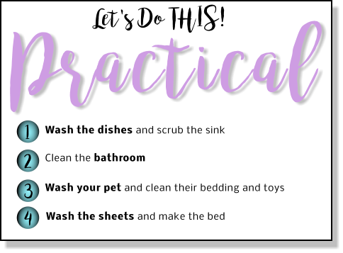 Let's Do THIS! Practical 1 2 3 4 Wash the dishes and scrub the sink Clean the bathroom Wash your pet and clean their bedding and toys  Wash the sheets and make the bed